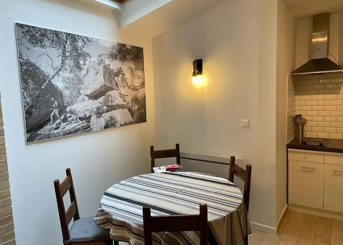 Apartment Le Cosy - 2 Pers - Hyper Centre De *